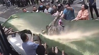 河南一名102歲老人從3樓墜落，被眾人穩(wěn)穩(wěn)接住