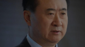 王健林：做跟別人不一樣的東西，企業要獨特創新才能成功
