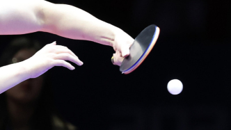 乒超注冊(cè)球員名單出爐：樊振東代表上海地產(chǎn)，張本美和等外協(xié)加入