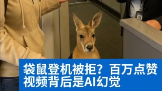 明查｜袋鼠登機被拒？百萬點贊視頻背后是AI幻覺