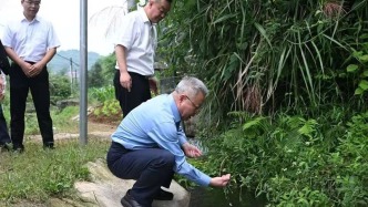 中央巡視組交辦問題，省委書記赴現場督導整改