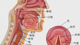 男子刀片嗓以為感冒竟差點(diǎn)喪命，后被確診為急性會(huì)厭炎