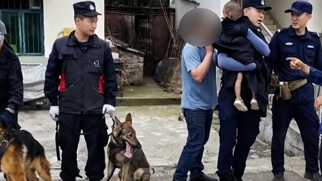 模样最凶的狗狗做最温柔的事，2岁男童走失2天被警犬找到