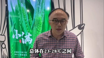 邬博士气象站丨上海人注意！白蚁即将大爆发！气温新高挡不住