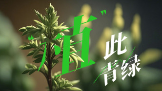 美麗中國我先行｜“植”此青綠