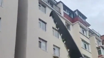 延吉一小区住户6楼抛物险砸到小学生，居委会：已报警，正协调处理