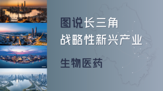長三角議事廳｜圖說長三角戰(zhàn)略性新興產(chǎn)業(yè)③生物醫(yī)藥