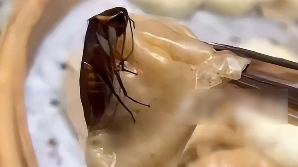 女子称在长沙一酒店吃出蒸熟的蟑螂,当地市监部门介入调查