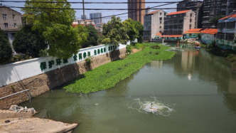 中央环保督察组点名一年后，武汉黄陂区老泵站河整改情况如何？