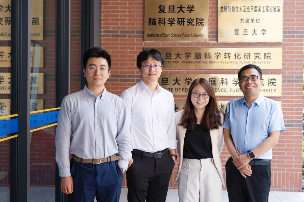 盈富优配:配资杠杆平台有哪些股票-《科学》刊文！复旦科学家通过脑机接口，使失明动物恢复视觉功能