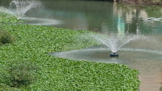 被中央生態(tài)環(huán)保督察組點名一年后，實探武漢黃陂區(qū)老泵站河整改情況