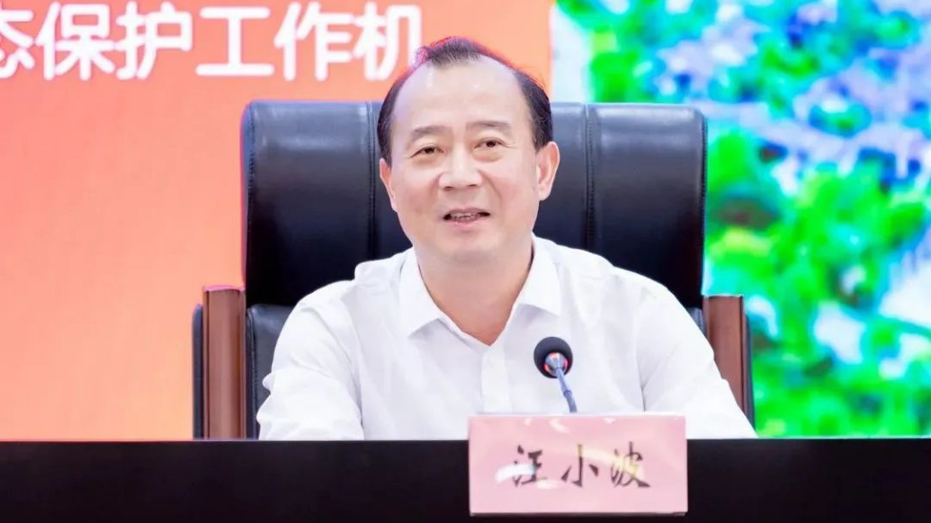 鄂州市委副书记汪小波出任湖北大数据集团董事长