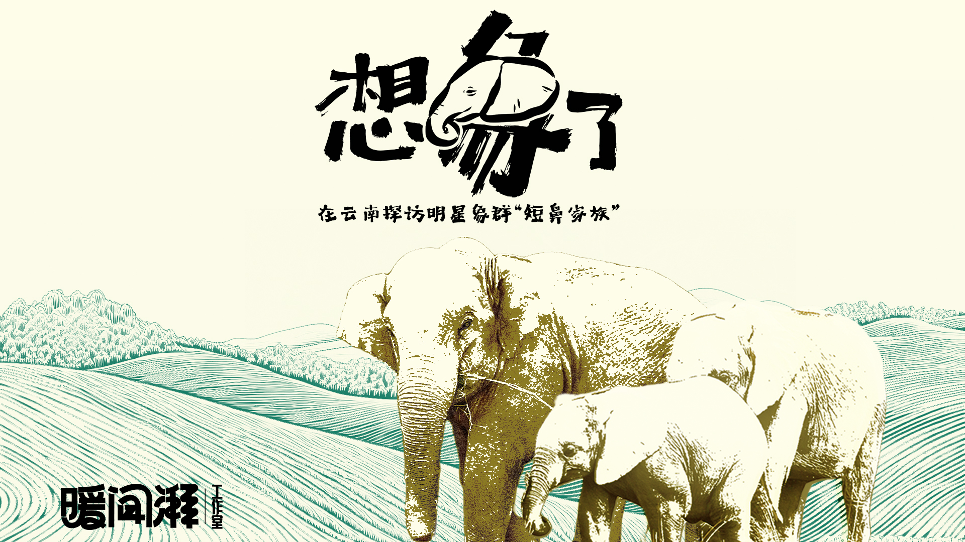 想“象”了——在云南探訪明星象群“短鼻家族”