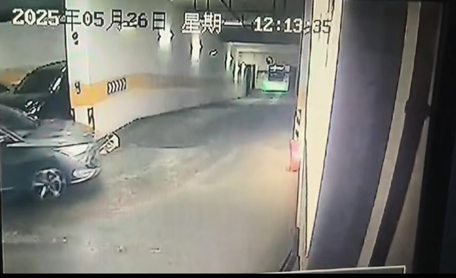 送宠物店洗澡的小狗因店员疏忽跑出被撞死：主人索赔数万，协商未果
