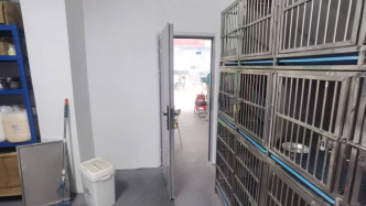 送寵物店洗澡的小狗因店員疏忽跑出被撞死：主人索賠數(shù)萬(wàn)，協(xié)商未果