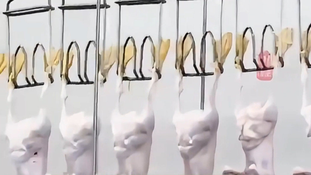 活鴨20元一斤，烤鴨為何卻能賣20多元一只？