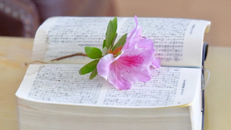 違反擬定導(dǎo)演、主演的約定，是否構(gòu)成違約？