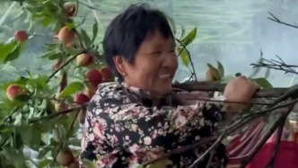 女子帮忙网购，村里老人扛来一树枝桃子相赠