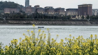 四川推進(jìn)長江生態(tài)環(huán)保修復(fù)：干流水質(zhì)連續(xù)8年保持Ⅱ類及以上
