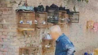 人民日報暗訪后，西安回應：開展野生鳥類公開販賣整治專項行動