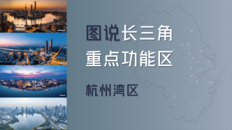 長三角議事廳丨圖說重點功能區(qū)④杭州灣區(qū)