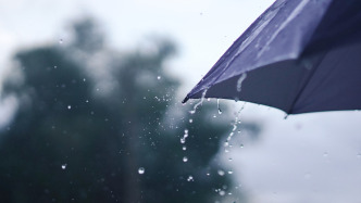 又到梅雨季，如何除濕祛濕守護健康？
