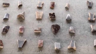 偽裝成礦石，上海洋山海關查獲39公斤犀牛角制品