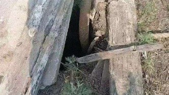 河南内乡通报“井水浇地后庄稼发黄枯死”：全盐量较高，涉事井已封闭