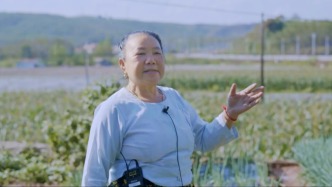 想“象”了丨與象為鄰是什么體驗？老鄉： 誰罵大象，它破壞誰家田