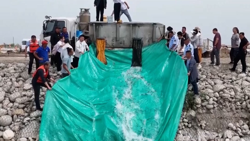 11万尾鱼苗放流沙漠内陆湖:将有效改善水域生态结构