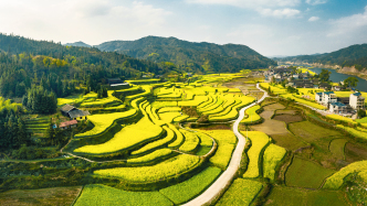 田野与社会的交响：社会史研究如何重塑当代中国的历史叙事