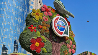 中非合作論壇北京峰會(huì)成果落實(shí)清單發(fā)布