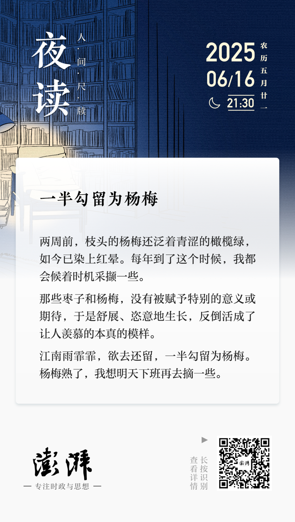 夜读丨一半勾留为杨梅