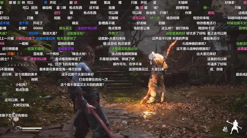 可供观赏的日常生活？直播背后的争议与风险