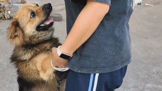 去世爺爺?shù)墓饭妨璩开氉詠碚覍O女，孫女當場破防大哭