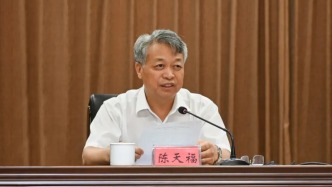 中央巡視組進駐期間，河南省委巡視組原副廳級巡視專員陳天福被查