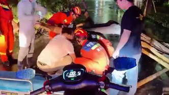 “蝴蝶”來襲，三亞兩名男子臺風天騎車撞上倒伏樹木