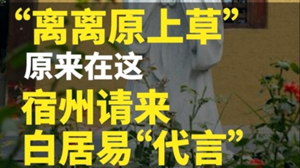 “离离原上草”原来在这，宿州请来白居易“代言”