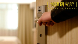 迷霧中的布草供應鏈