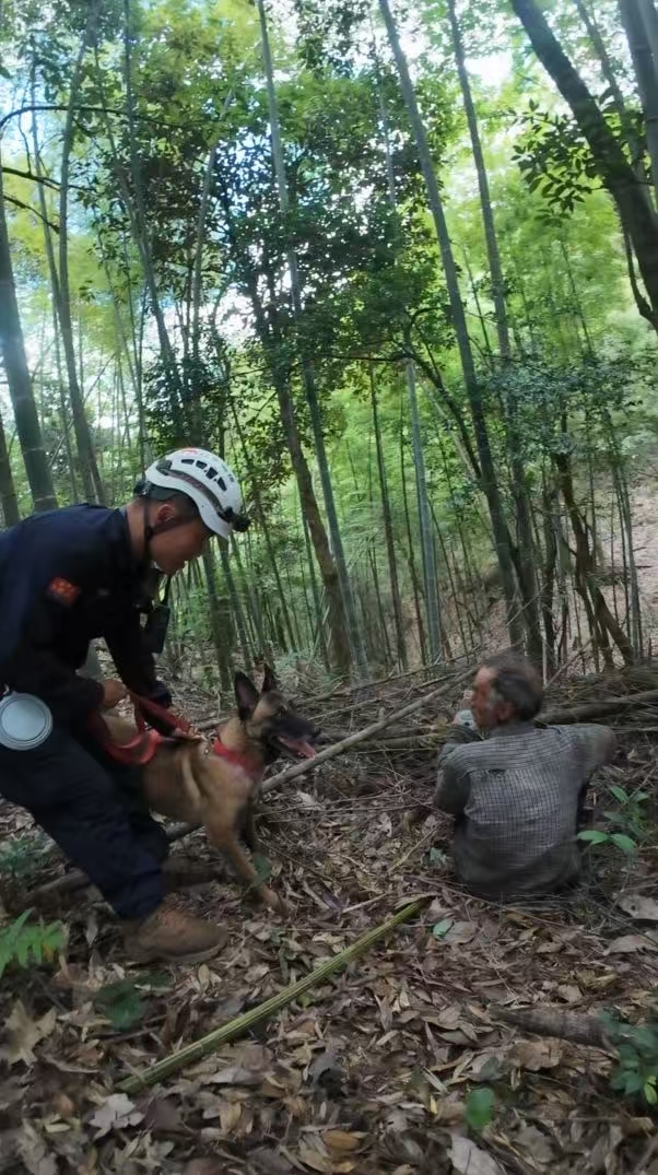 患痴呆和听障的老人深山走失，福建三明消防队员携搜救犬历十天营救成功