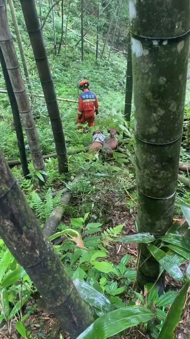 患痴呆和听障的老人深山走失，福建三明消防队员携搜救犬历十天营救成功