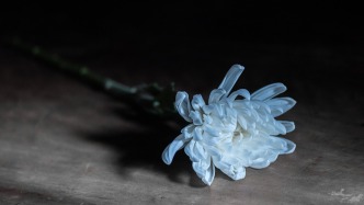 著名建筑学家、建筑教育家何广麟逝世