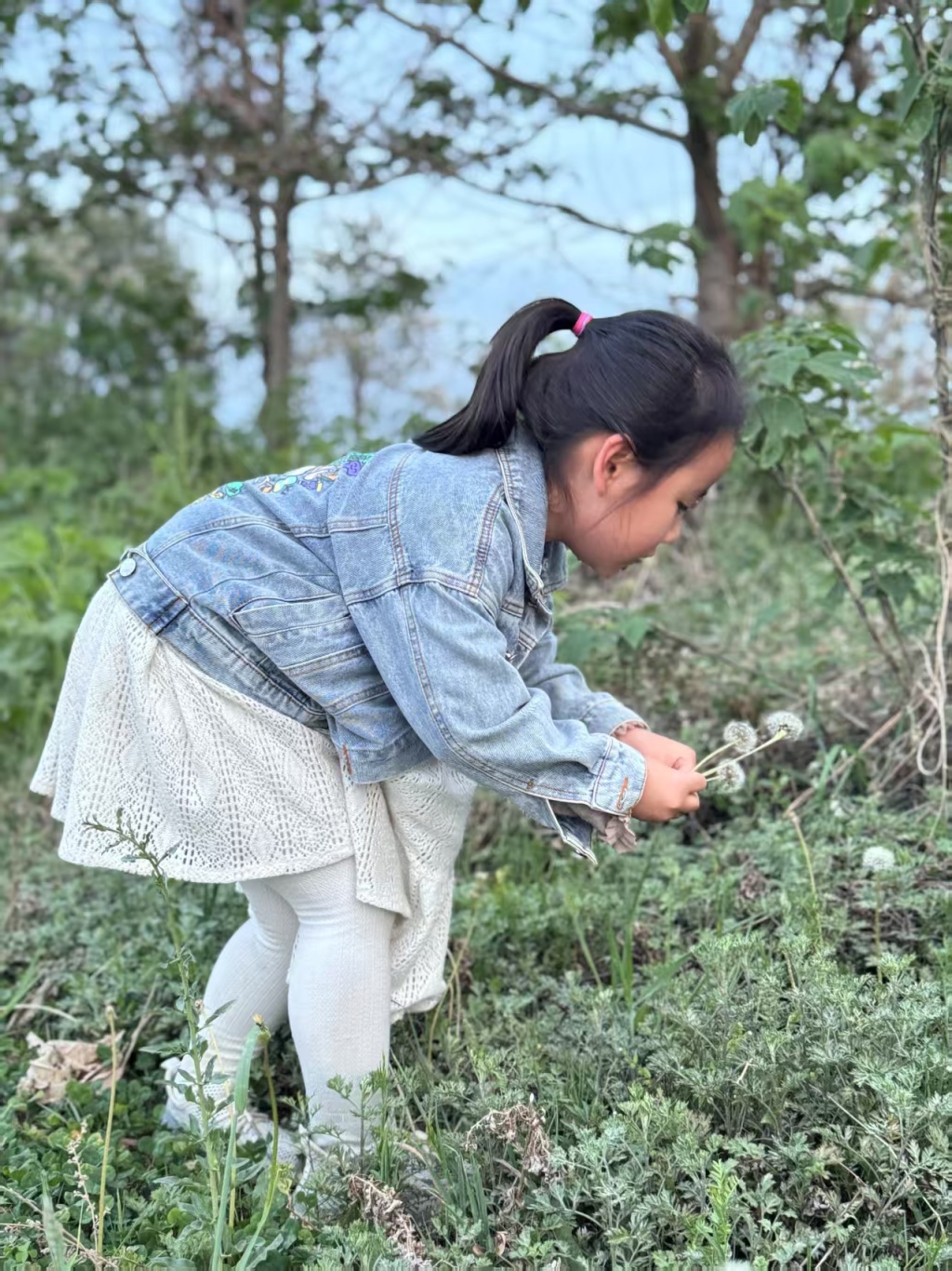 夜读丨吹散一朵蒲公英