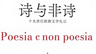 诗的精神性与思想史的时间性——《诗与非诗》译后记