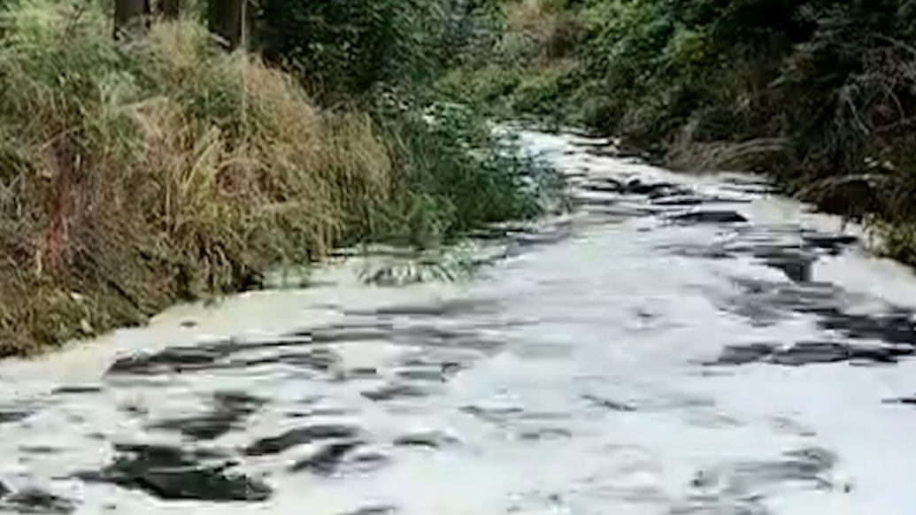 南阳官庄工区回应“涧河疑似存在水污染问题”：已成立联合调查组