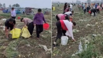 安徽宿州警方通报村民“哄抢”土豆：将根据调查结果依法依规处理