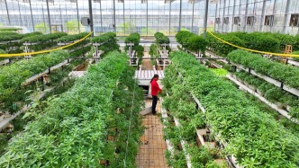 全國政協常委、江西省政協副主席謝茹經濟日報刊文：如何紓解糧菜爭地之困