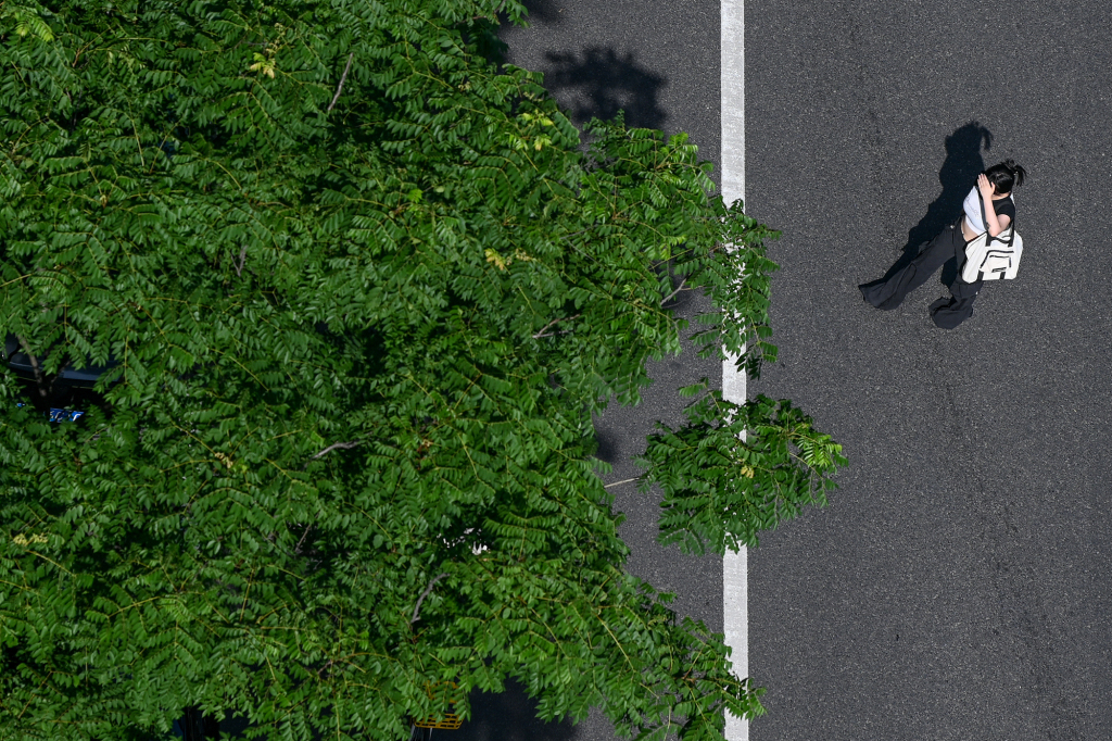 魔都眼｜35.2℃，上海迎来今年首个高温日