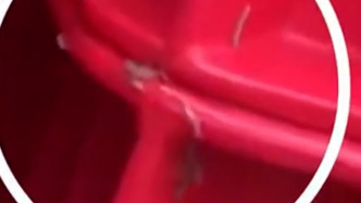 企业食材周转筐上有蛆？江苏盱眙县农业农村局：全面核查