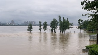 广东将救灾应急响应提升为Ⅲ级